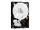WD3001FFSX