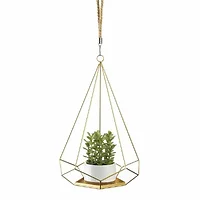 Summerfield Terrace-10018889