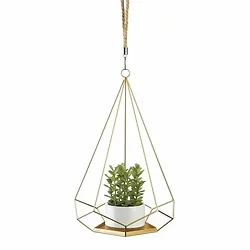 Summerfield Terrace-10018889