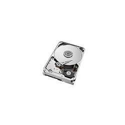 SEAGATE-ST10000NM0478-20PK