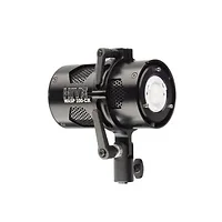 Hive Lighting-HIVE-WLS1CX