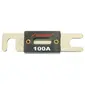 Nippon Labs-ANE100A