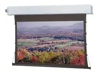 DALITE SCREEN COMPANY, INC-84401LSI