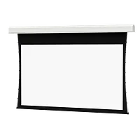 DALITE SCREEN COMPANY, INC-36919