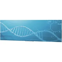 DALITE SCREEN COMPANY, INC-27967T