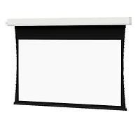 DALITE SCREEN COMPANY, INC-24860EB