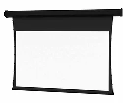 DALITE SCREEN COMPANY, INC-70208VN