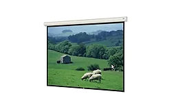 DALITE SCREEN COMPANY, INC-96386L