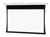 DALITE SCREEN COMPANY, INC-24868