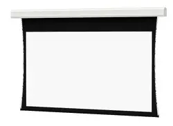 DALITE SCREEN COMPANY, INC-24868