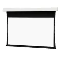 DALITE SCREEN COMPANY, INC-38775