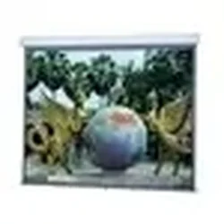 DALITE SCREEN COMPANY, INC-79876