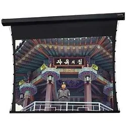 DALITE SCREEN COMPANY, INC-70264L