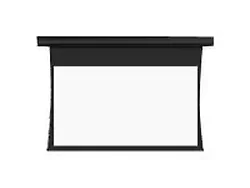 DALITE SCREEN COMPANY, INC-88497LS