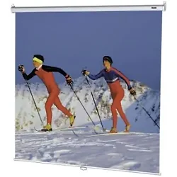 DALITE SCREEN COMPANY, INC-40833