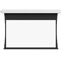 DALITE SCREEN COMPANY, INC-85396LS