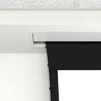 DALITE SCREEN COMPANY, INC-21811LS