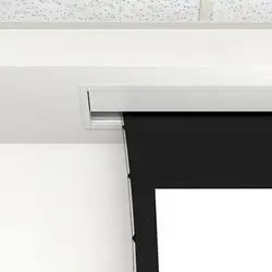 DALITE SCREEN COMPANY, INC-21811LS