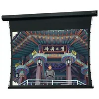 DALITE SCREEN COMPANY, INC-99288