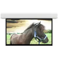 DALITE SCREEN COMPANY, INC-70257L