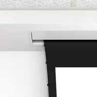 DALITE SCREEN COMPANY, INC-21799L