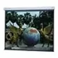 DALITE SCREEN COMPANY, INC-79892