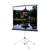 DALITE SCREEN COMPANY, INC-76753