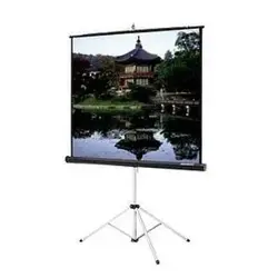 DALITE SCREEN COMPANY, INC-76753
