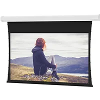 DALITE SCREEN COMPANY, INC-76014