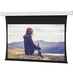 DALITE SCREEN COMPANY, INC-76014