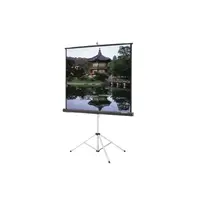 DALITE SCREEN COMPANY, INC-36478