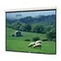 DALITE SCREEN COMPANY, INC-40823L