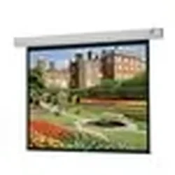 DALITE SCREEN COMPANY, INC-89730W