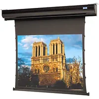 DALITE SCREEN COMPANY, INC-94218LS