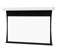 DALITE SCREEN COMPANY, INC-24863I