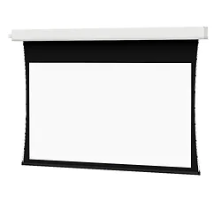 DALITE SCREEN COMPANY, INC-24863I