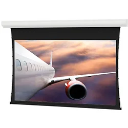 DALITE SCREEN COMPANY, INC-21858LS