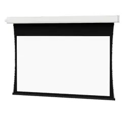 DALITE SCREEN COMPANY, INC-88310R