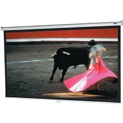 DALITE SCREEN COMPANY, INC-36460