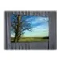 DALITE SCREEN COMPANY, INC-39908P