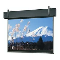 DALITE SCREEN COMPANY, INC-99780