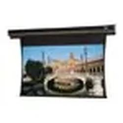 DALITE SCREEN COMPANY, INC-70161LS