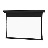 DALITE SCREEN COMPANY, INC-24749L