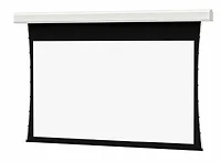 DALITE SCREEN COMPANY, INC-24864