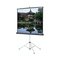 DALITE SCREEN COMPANY, INC-69899