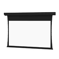 DALITE SCREEN COMPANY, INC-21863LSR