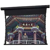 DALITE SCREEN COMPANY, INC-20882LS