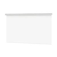 DALITE SCREEN COMPANY, INC-38838E