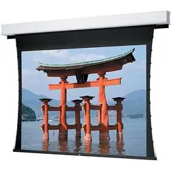 DALITE SCREEN COMPANY, INC-21788