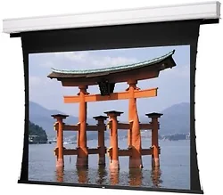 DALITE SCREEN COMPANY, INC-88294